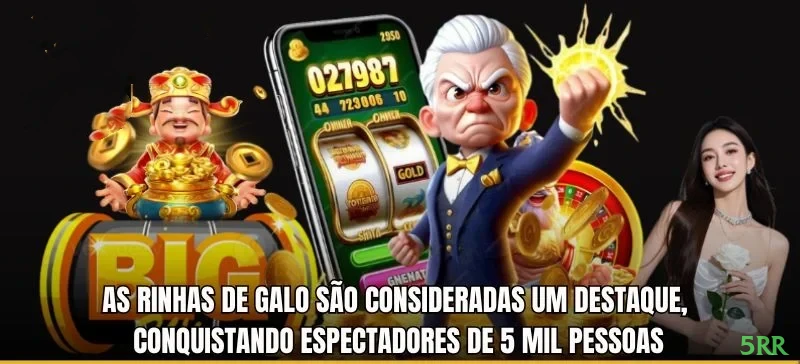 5rr - Plataforma Líder de Apostas Online no Brasil com Jogos Exclusivos